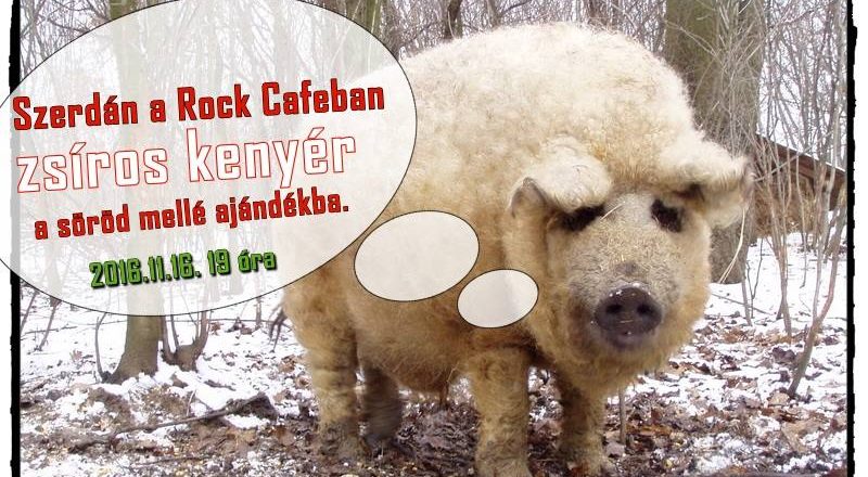 Szerdai vacsika