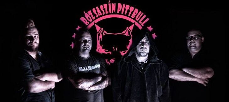 Rozsaszin pittbull